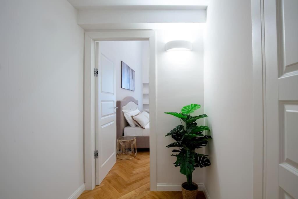 Dimora Nuvola Apartament Firenze Eksteriør bilde